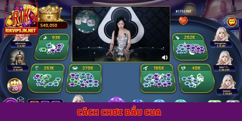 cách chơi bầu cua