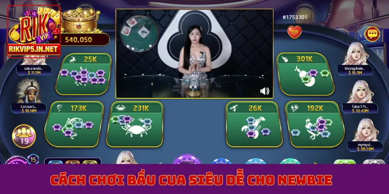 Cách chơi bầu cua siêu dễ cho newbie
