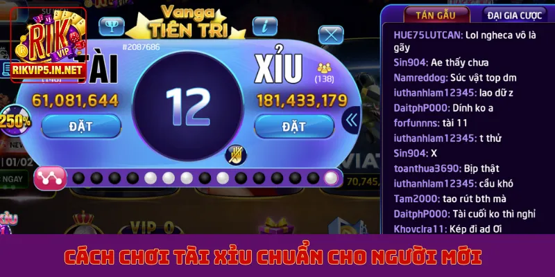 Cách chơi tài xỉu chuẩn cho người mới