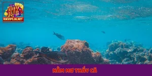 nằm mơ thấy cá