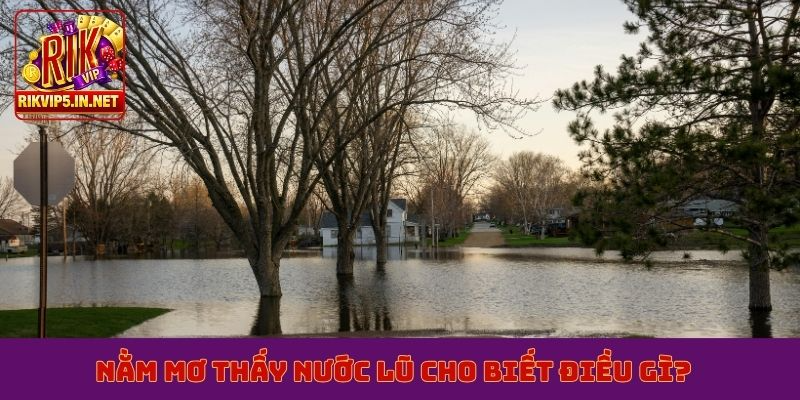 Nằm mơ thấy nước lũ cho biết điều gì?