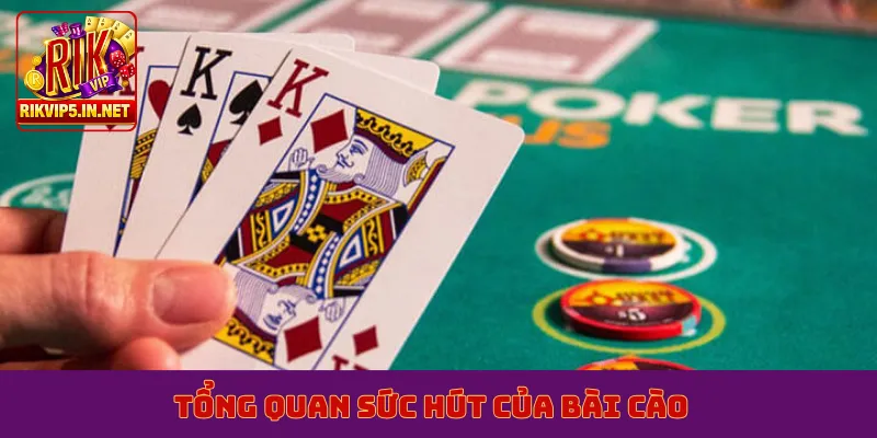 Tổng quan sức hút của bài cào